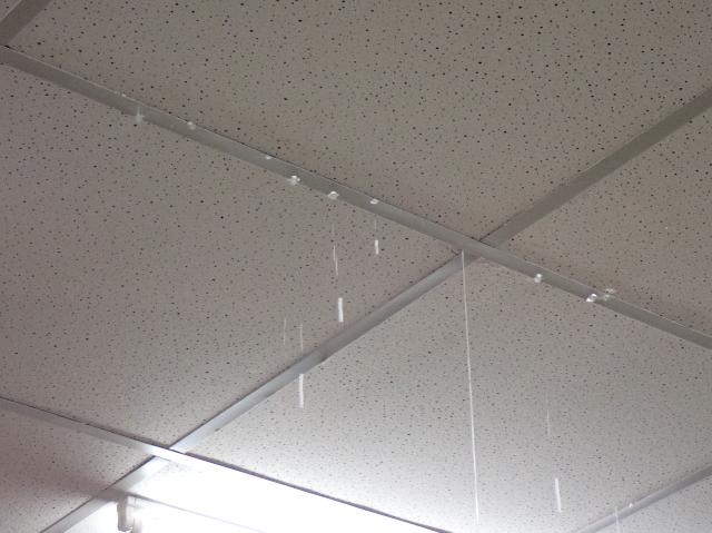 天井雨漏の応急処置は慌てず安全に！今すぐできる対処と修理前の注意点